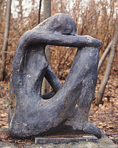 alternate text goes here